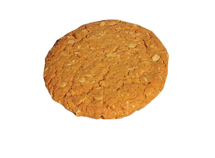 anzac biscuit